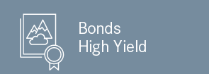 High Yield USD